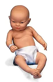 3b-scientific-w17003-asian-baby-care-model-female