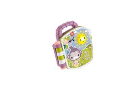 fisher-price-toy-jfn05-multi-coloured