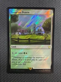 karta-magic-the-gathering-sungrass-prairie-foil-fic-428