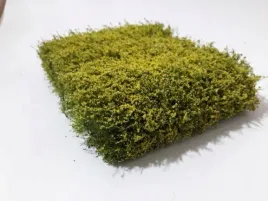 mininatur-kwitnacy-na-zolto-zywoplot-12x14-cm