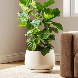 ceramiczna-doniczka-30-cm-z-podstawka-bezowa