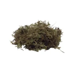 mech-torfowiec-100g-4l-repto-forest-moss-sphagnum-do-terrarium-podloze-utrzymujace-wilgoc