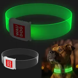 obroza-dla-psa-z-podswietleniem-waudog-led-klamra-magnetyczna-dl-45-cm-bialy