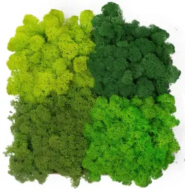 mech-chrobotek-premium-mix-4-kolorow-500g-eko-design-diy-porost-reniferowy-do-stroikow-dekoracji-wnetrz-i-rekodziela