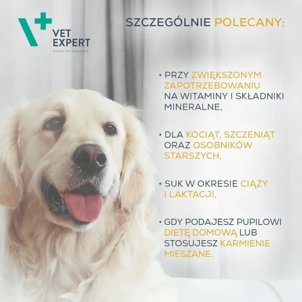 vet-expert-multivitamin-50-kaps-preparat-witaminowo-mineralny-dla-psow-i-k-stan-nowy
