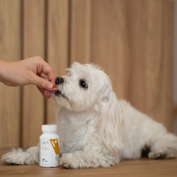 vet-expert-multivitamin-50-kaps-preparat-witaminowo-mineralny-dla-psow-i-k-stan-nowy