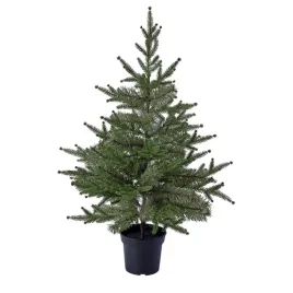 sztuczna-choinka-84-cm-zielona-w-doniczce-swiateczna-ikea-vinterfint