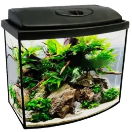 akwarium-30l-40x25x30-profil-owal-full-zestaw-wyposazenie-gratisy-zbiornik-dla-ryb-z-filtrem-grzalka-pokrywa-i-oswietleniem