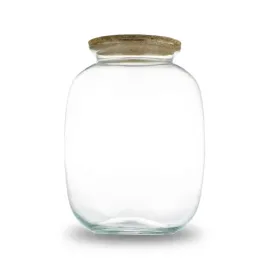 sloik-z-pokrywa-korkowa-33cm-idealny-do-stworzenia-las-w-sloiku-mikroklimat-szklane-naczynie-florystyczne-terrarium-roslinne