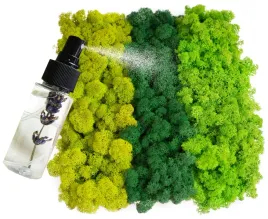 mech-odzywka-chrobotek-500-0-5kg-czysty-3-kolory-box-odzywka-porost-dekoracyjny-do-kompozycji-florystycznych-zielony