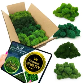 mech-reniferowy-chrobotek-500g-dekoracyjny-finski-premium-mix-4-kolory-porost-do-stroikow-kompozycji-florystycznych-i-ozdob