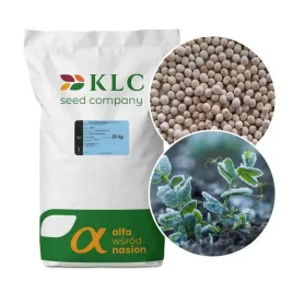 groch-siewny-ozimy-zimujacy-dexter-nasiona-do-siewu-kwalifikat-c1-25kg-klc
