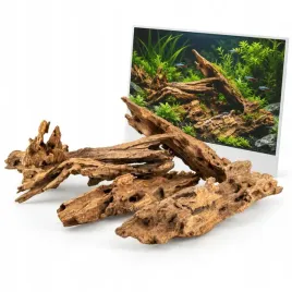 korzen-do-akwarium-dragon-wood-nano-zestaw-5-7szt-okolo-100g-drewno-dekoracyjne-ozdoba-akwariowa-element-aranzacji-zbiornika