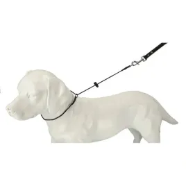 dingo-gear-obroza-treningowa-zaciagana-z-linki-3mm-60cm-czarna-dla-psa-zaciskowa-materialowa-do-szkolenia-i-nauki-chodzenia-rozmiar-xxl