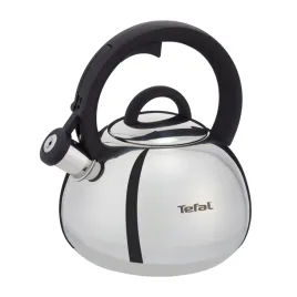 czajnik-tradycyjny-stalowy-tefal-n4180310-z-gwizdkiem-na-gaz-indukcja-imbryk-do-gotowania-wody-25-l-srebrny