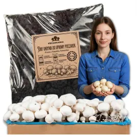 torf-okrywa-do-uprawy-pieczarek-worek-20kg-prosto-z-kopalni-naturalny