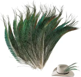 pawie-piora-naturalne-20-sztuk-25-30-cm-do-dekoracji