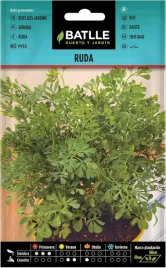 nasiona-rue-des-jardins-1g