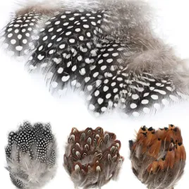 piora-naturalne-300-sztuk-w-kropki-i-piora-bazanta-rekodzielo-dekoracje