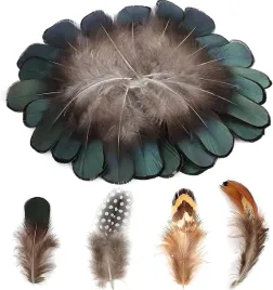 zestaw-200-pior-z-kurczaka-4-style-do-dekoracji-i-diy