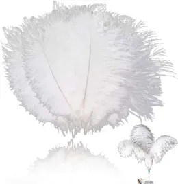 naturalne-piora-strusie-biale-30-sztuk-15-20cm-do-dekoracji