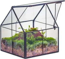 mini-szklarnia-terarium-ncyp-do-malych-roslin-z-pokrywka-11x11x12