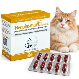 preparat-wspierajacy-koty-przy-chorobie-nowotworowej-neoplasmavet-amino