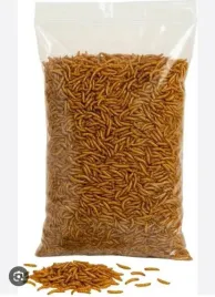suszone-robaki-maczne-1kg-naturalne