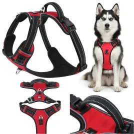 szelki-dla-psa-guard-czerwone-huggy-doggy-mocne-odblaskowe-husky-border-l-czerwony