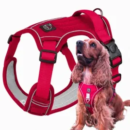 mocne-szelki-typu-guard-dla-duzego-psa-boston-xl-red-czerwone-wino-szelki-spacerowe-czerwony