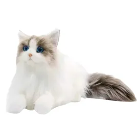 realistyczna-pluszowa-zabawka-kot-kotek-ragdoll-jak-prawdziwy-wiek-0