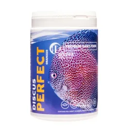 discus-hobby-discus-perfect-xl-150ml