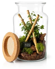 terrarium-dla-patyczaka-25cm-z-zatyczka-diy-zestaw-kompletny-do-hodowli-19-cm-5-l