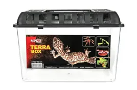 happet-pojemnik-hodowlany-terra-box-faunarium-33x22x21cm-bx06-33-cm-15-2-l