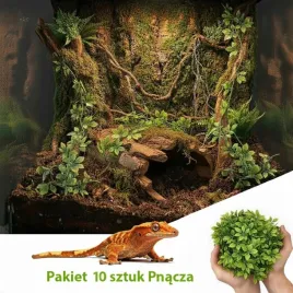pakiet-10x-pnacze-roslina-budowa-scianki-tla-terarium-gekon-pajak-skakun