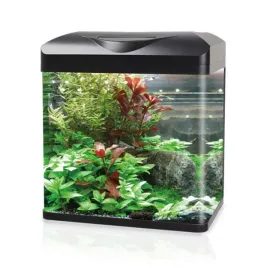 invital-easytank-pro-led-16-litrow-z-filtracja-w-pokrywie-czarny-30-cm