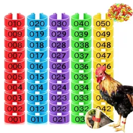 opaski-na-nogi-dla-kur-z-numerami-kolorowe-16-mm-wzor