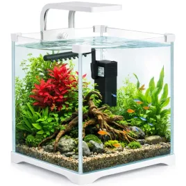 zestaw-dla-poczatkujacych-akwarystow-akwarium-dla-ryb-i-krewetek-10l-20-5-cm-20-l