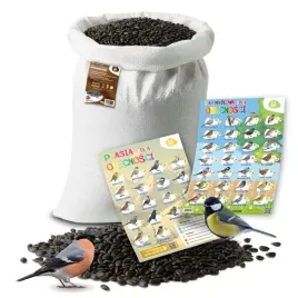slonecznik-dla-ptakow-20kg-czarny-karma-pokarm-ziarno-do-karmnik-plakat