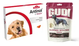 antinol-sizarol-120-kapsulek-na-stawy-przysmak-gudi-suplementy