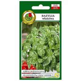 bazylia-zieona-nasiona-1g-pnos