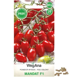 pomidor-mandat-f1-20-nasion-wegana