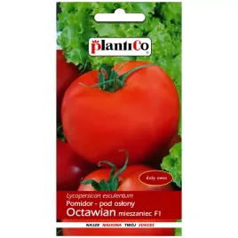 pomidor-octawian-f1-nasiona-01g-plantico