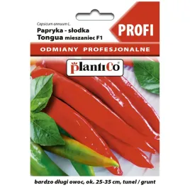 papryka-slodka-tongua-f1-nasiona-01g-plantico