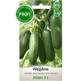 ogorek-pony-f1-nasiona-05g-wegana