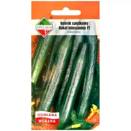 ogorek-dukat-f1-nasiona-1g-spojnia