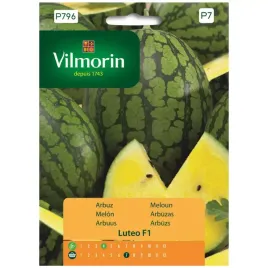 arbuz-luteo-f1-7-nasion-vilmorin