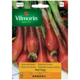 cebula-siedmiolatka-red-toga-nasiona-1g-vilmorin