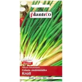 cebula-siedmiolatka-kroll-nasiona-2g-plantico