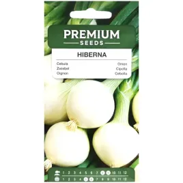 cebula-hiberna-nasiona-2g-premium-seeds